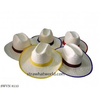 Men's Hat SWVN 8110 